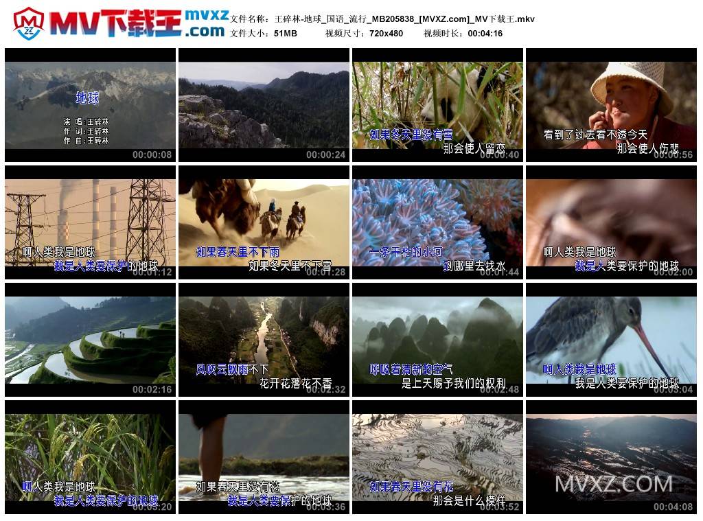 王碎林-地球_国语_流行_MB205838